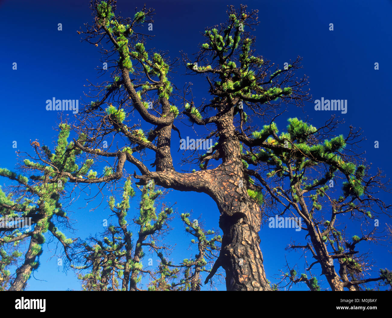 Paisajes de la naturaleza hi-res stock photography and images - Alamy
