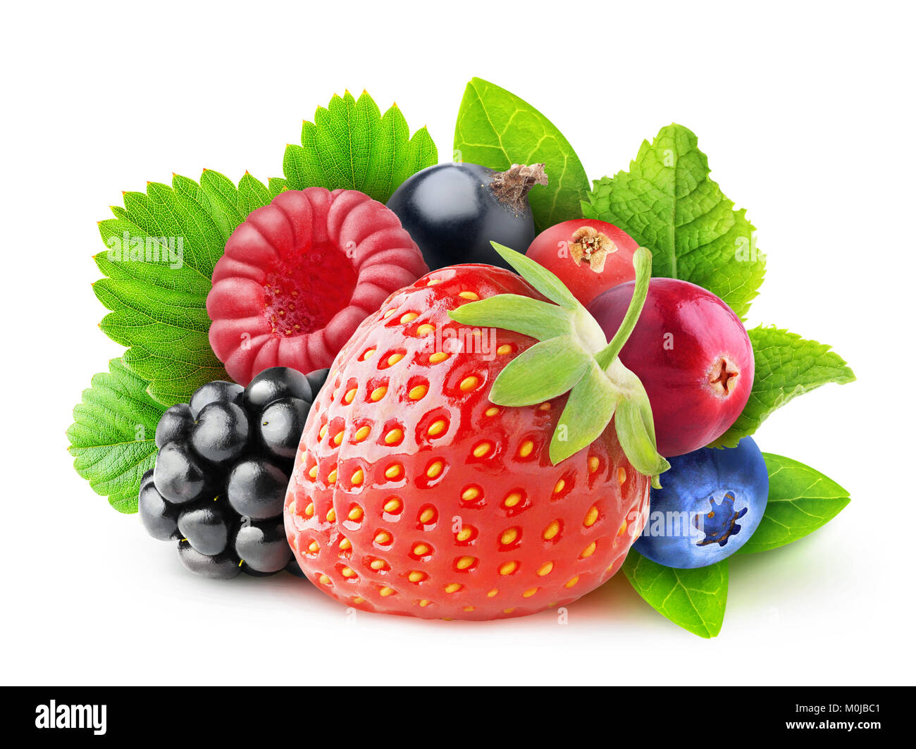 Isolated fresh berries. Pile of strawberry, blackberry, raspberry, black and red currant, cranberry and blueberry fruits with leaves isolated on white Stock Photo