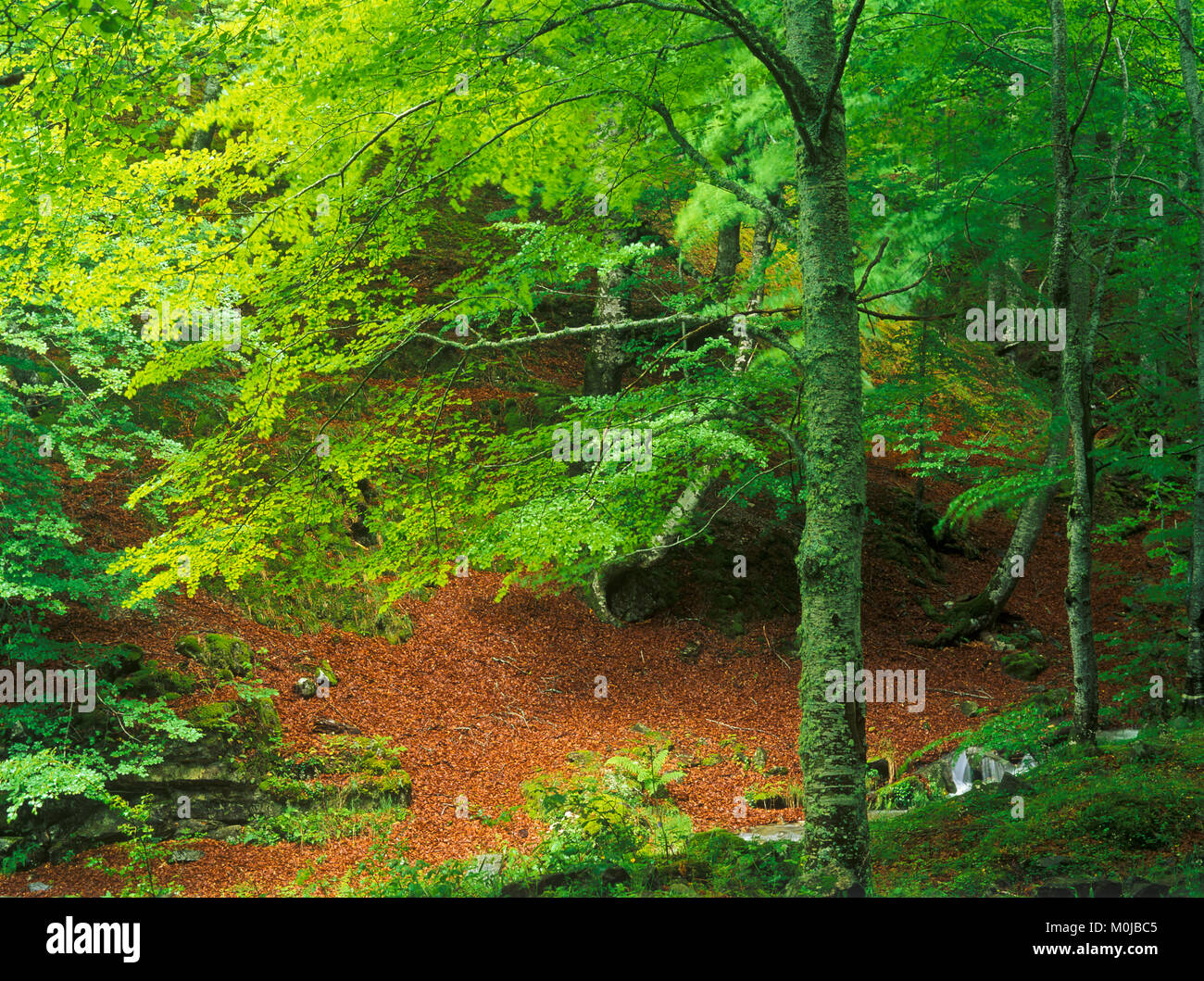 Paisajes de los pueblos hi-res stock photography and images - Alamy