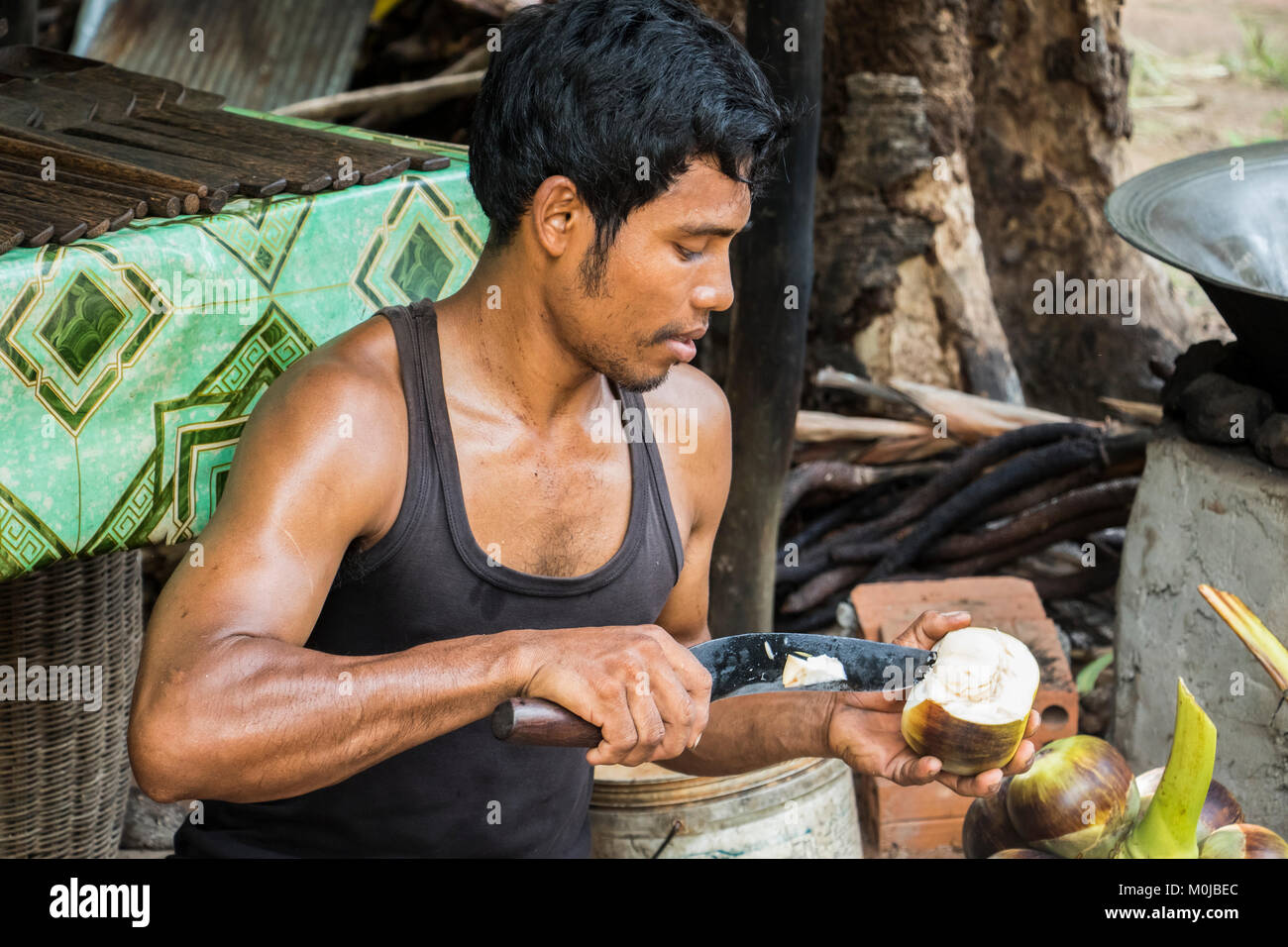 Man preparing palm sugar in a village near Siem Reap; Siem Reap, Cambodia Stock Photo