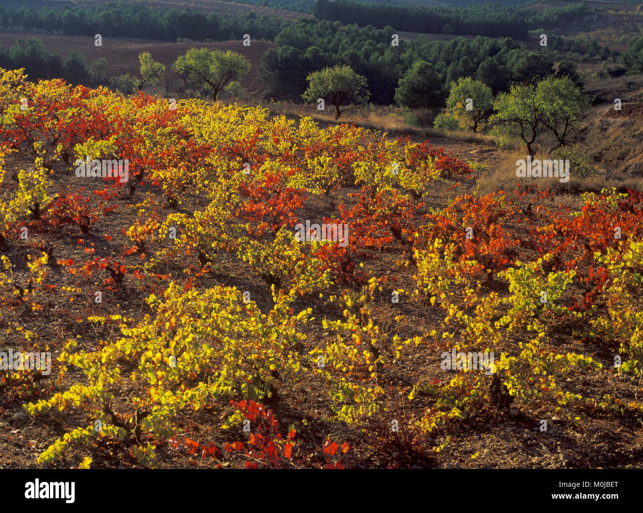 Paisajes de los pueblos hi-res stock photography and images - Alamy