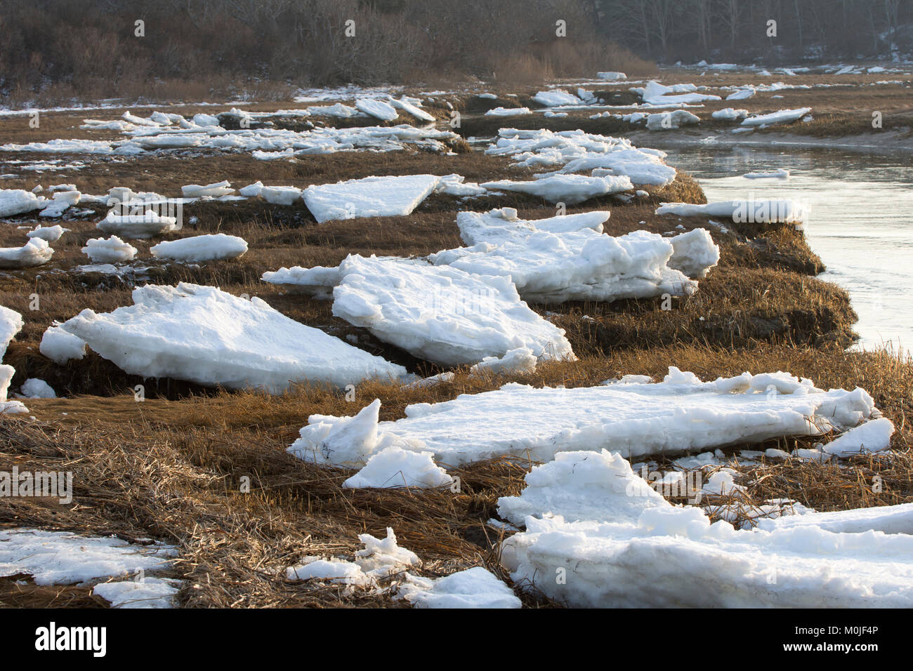 Ice along the shore of Paine's Creek, Brewster, Massachustts, Cape Cod, USA on a winter's day. Stock Photo