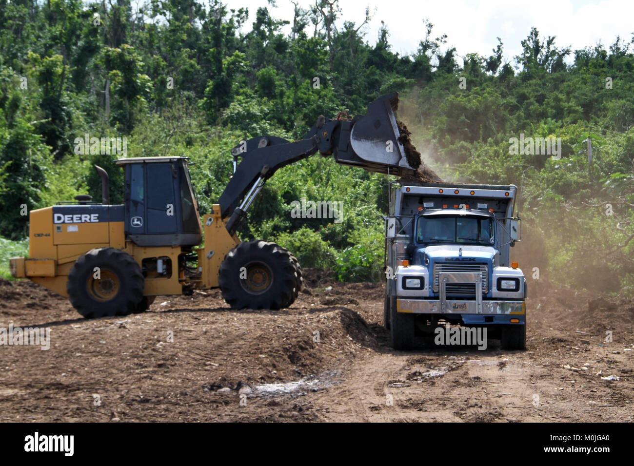 Contractor Loading Contractors load trucks with mulch produced from vegetation debris ...