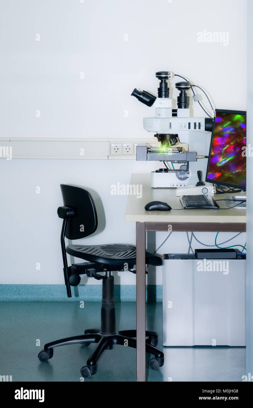 Confocal microscopy hi-res stock photography and images - Alamy