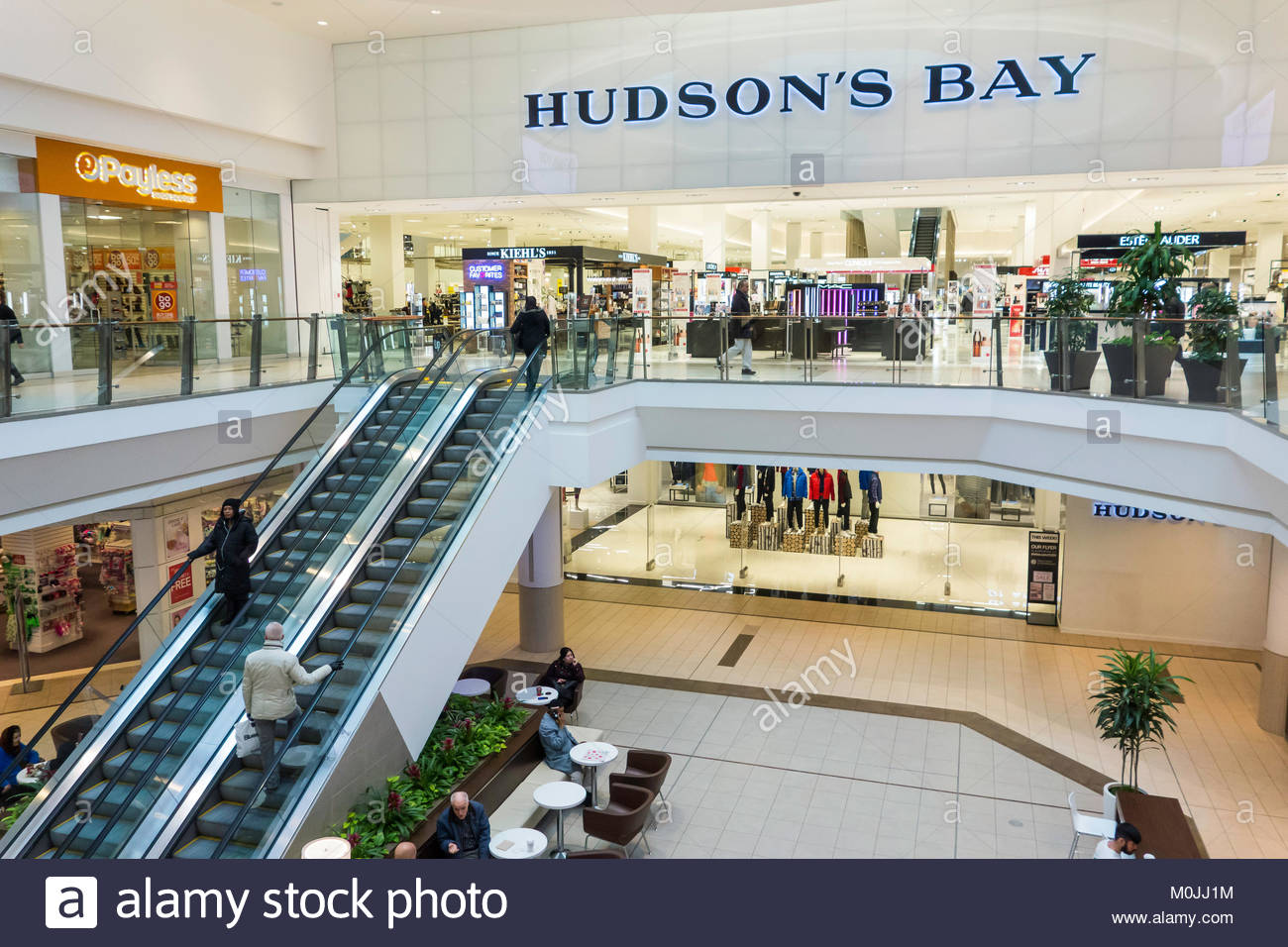 levis scarborough town centre