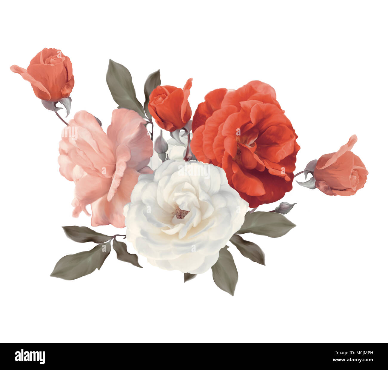 Roses watercolor isolated on white background Stock Photo - Alamy
