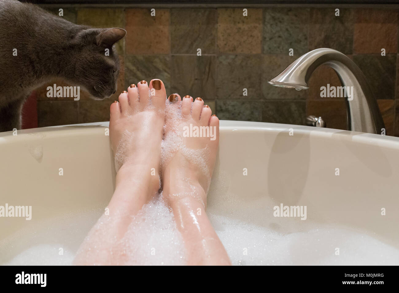 A grey cat checks out the bubbles on a woman's foot as she soaks in a bubble bath Stock Photo