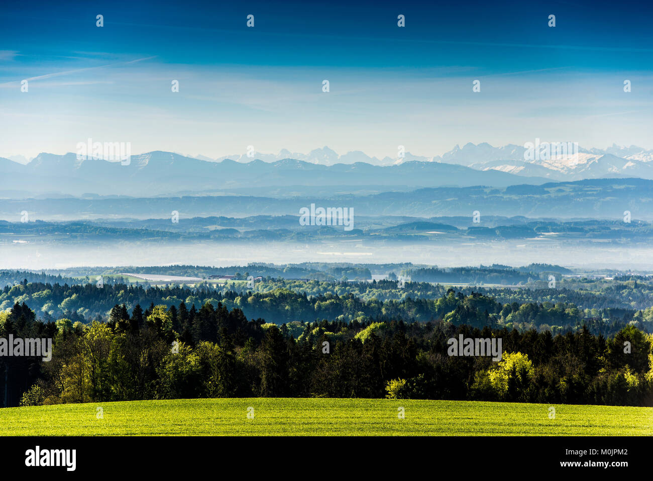 View over Lake Constance with Swiss Alps, Linzgau, Lake Constance district, Upper Swabia, Baden-Württemberg, Germany Stock Photo