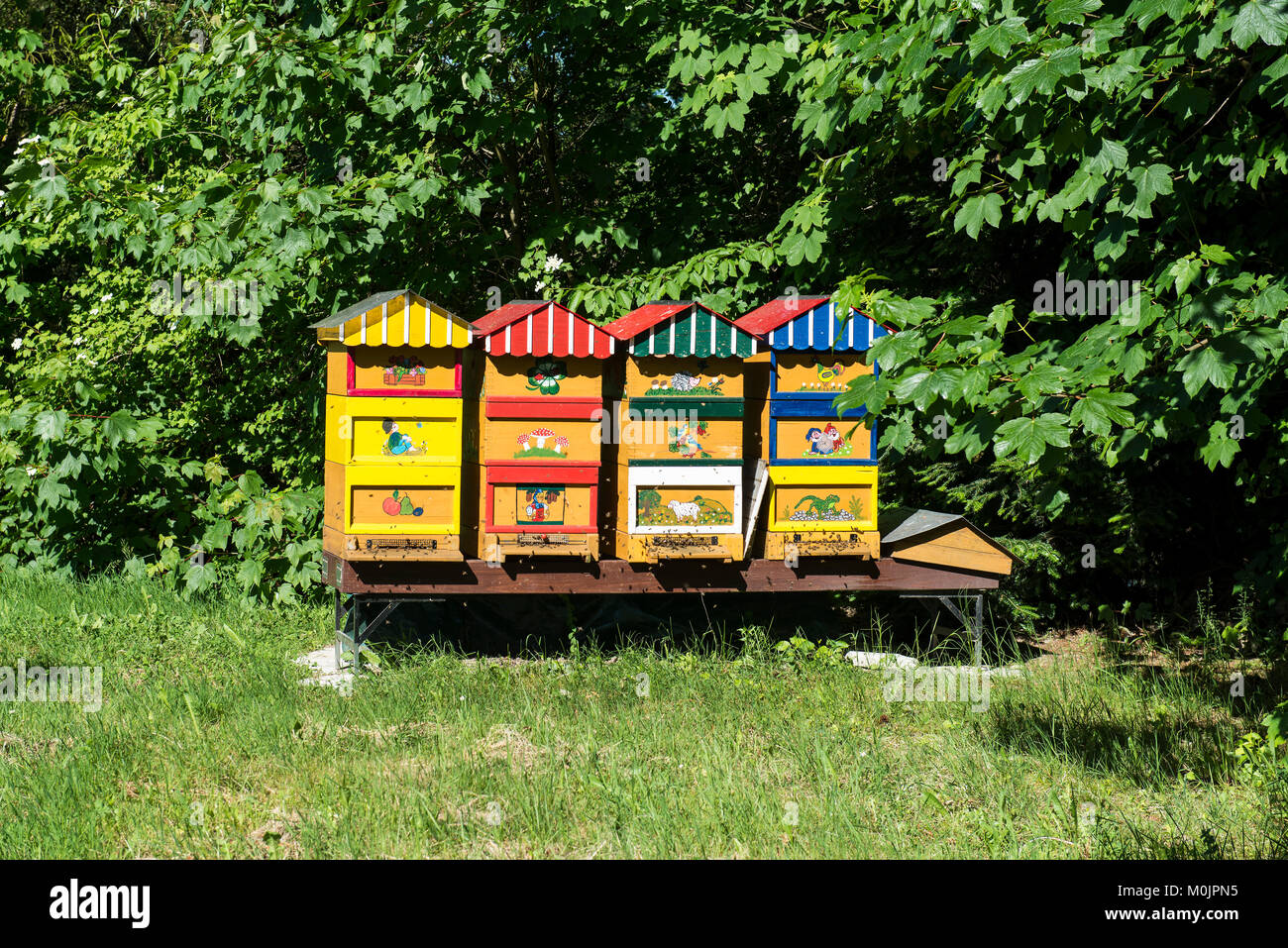 Coloured painted beehives, Eriskircher Ried, Eriskirch, Lake Constance, Bavaria, Germany Stock Photo