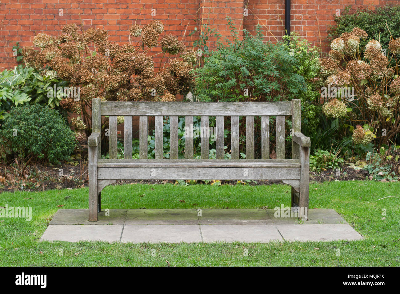 front view of wooden bench on green grass in a city park with bushes ...