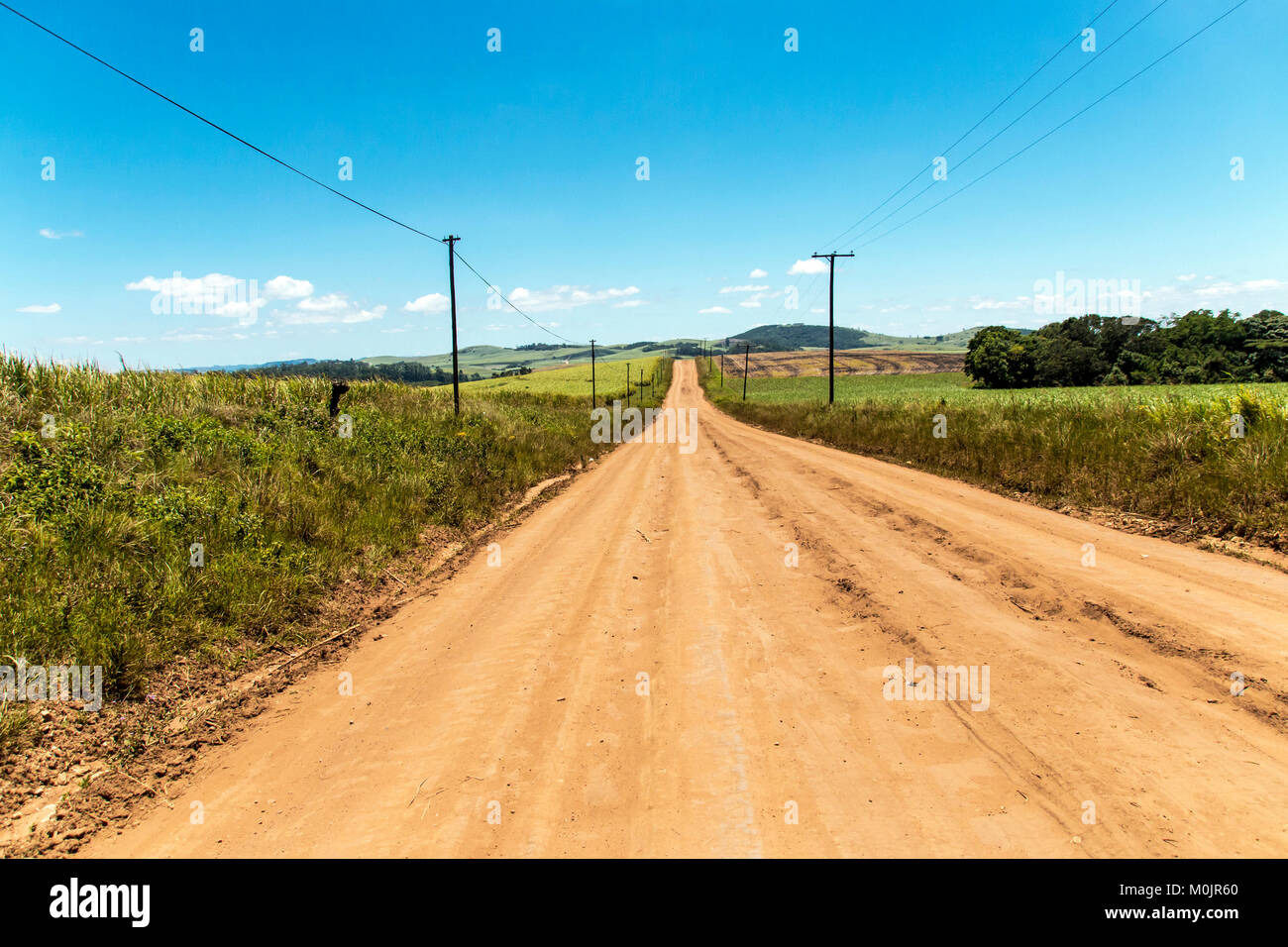 Dirt road leading through green sugar cane plantations against blue sky in Eshowe, South Africa Stock Photo