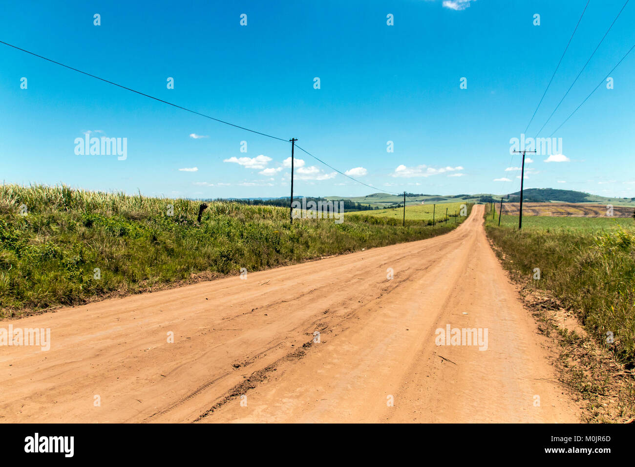 Dirt road leading through green sugar cane plantations against blue sky in Eshowe, South Africa Stock Photo