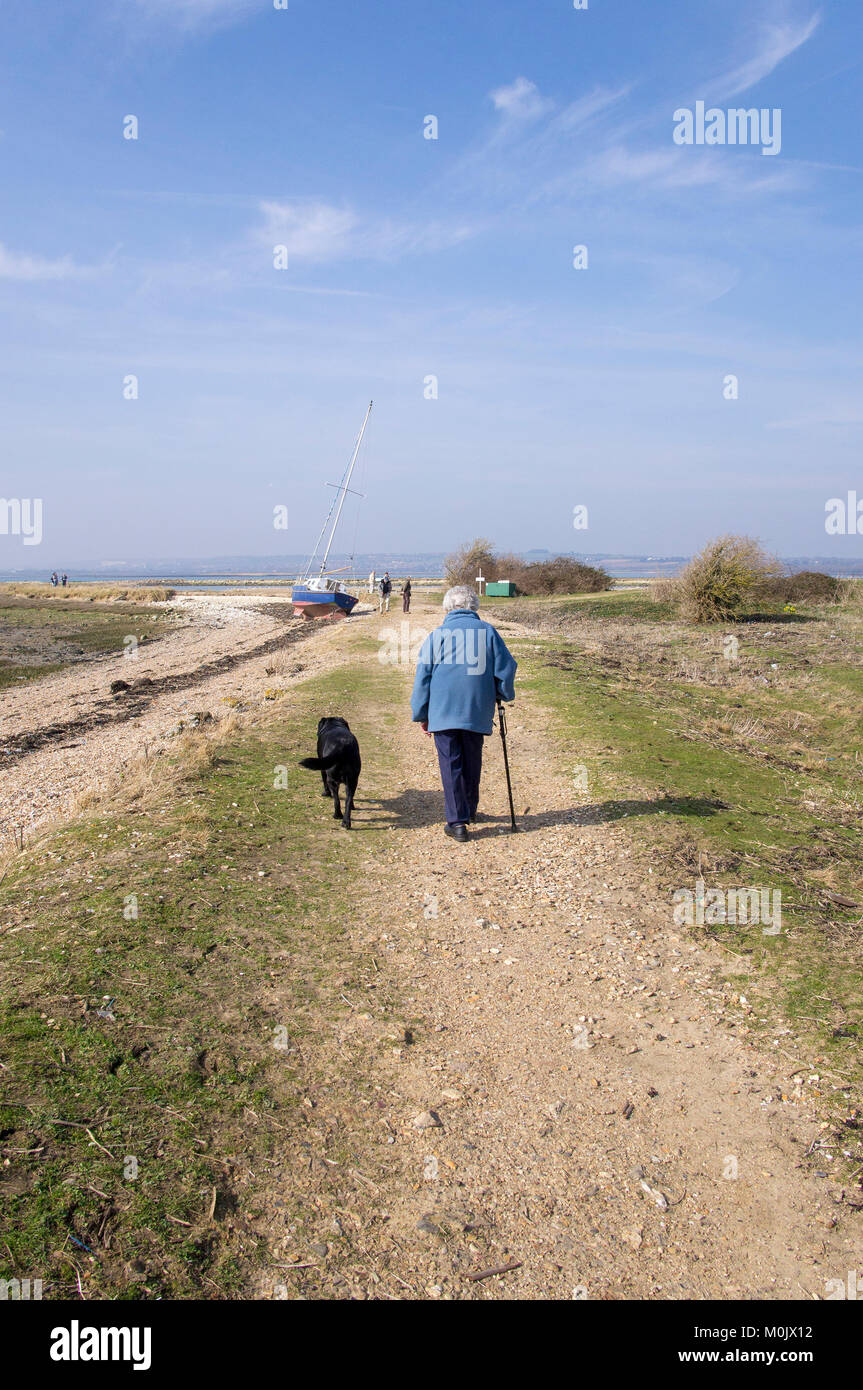 Senior lady walking her black labrador on Hayling Island Stock Photo