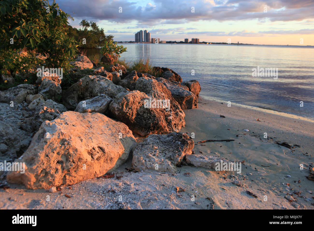 Fort Myers as seen from the water's edge of North Shore Park in North