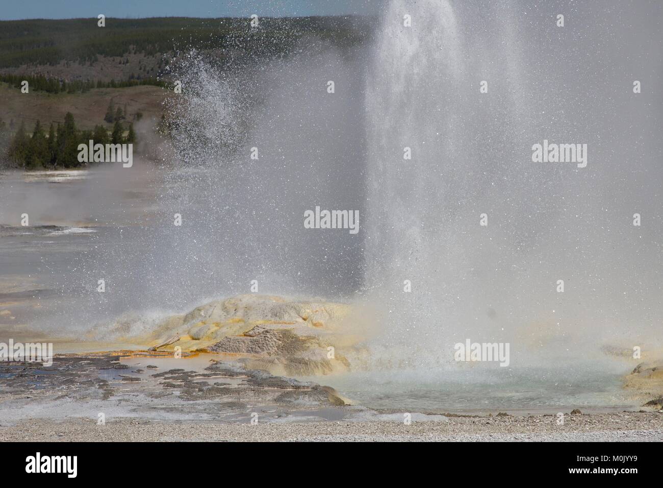 The Clepsydra Geyser erupts in the Lower Geyser Basin at the Yellowstone National Park June 20, 2017 in Wyoming. Stock Photo
