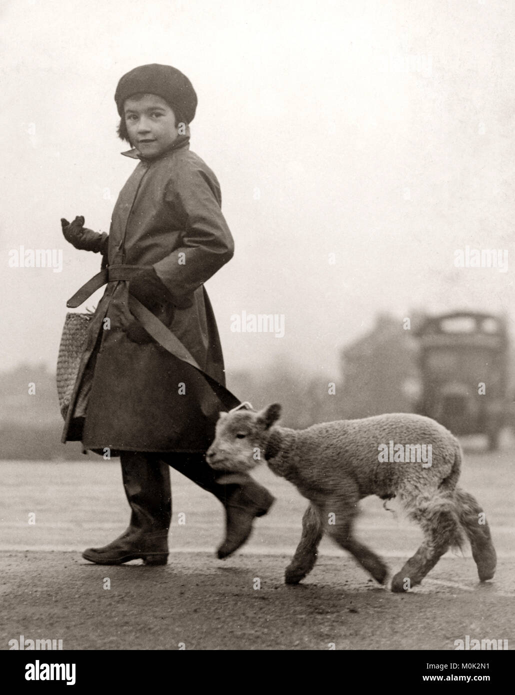 Little girl off to the shops with her pet lamb, Epping, 1932 Stock ...