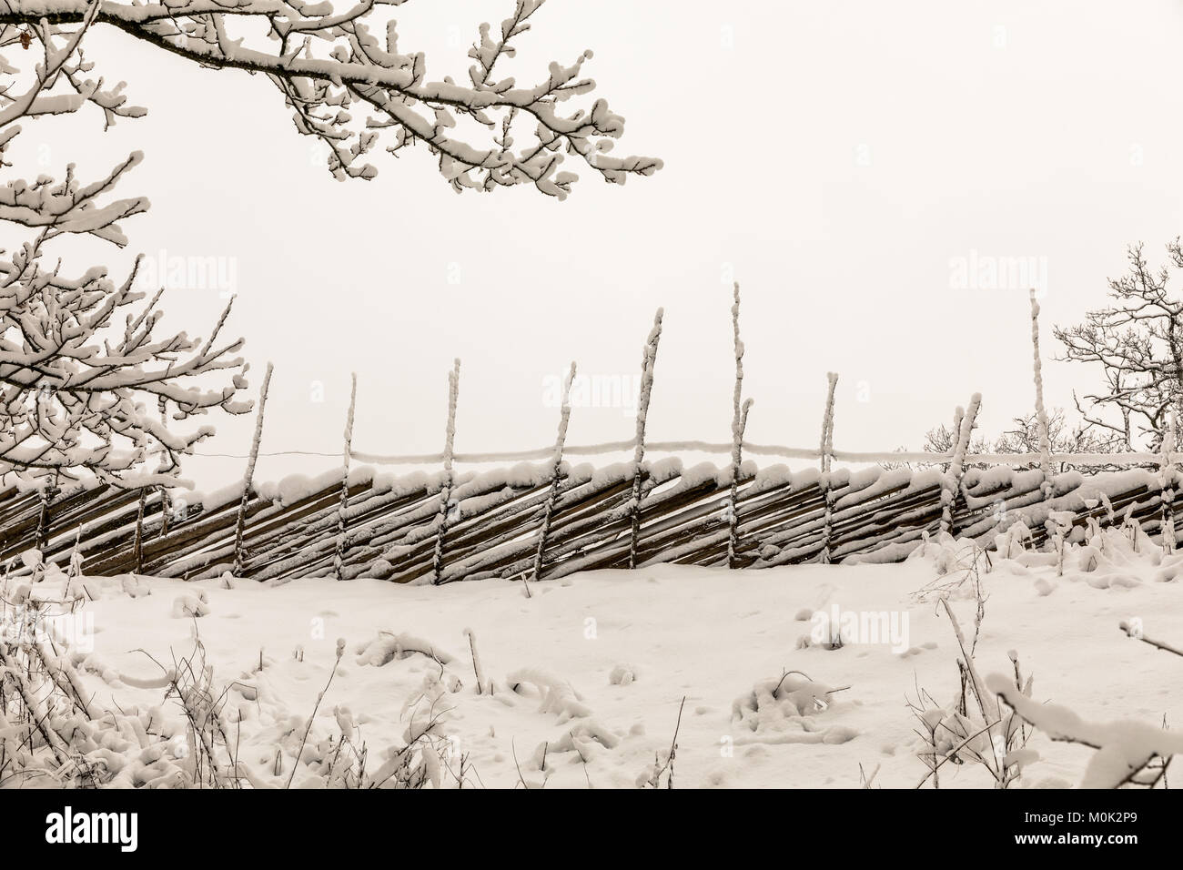 A wooden roundpole fence in winter, covered in snow Stock Photo - Alamy