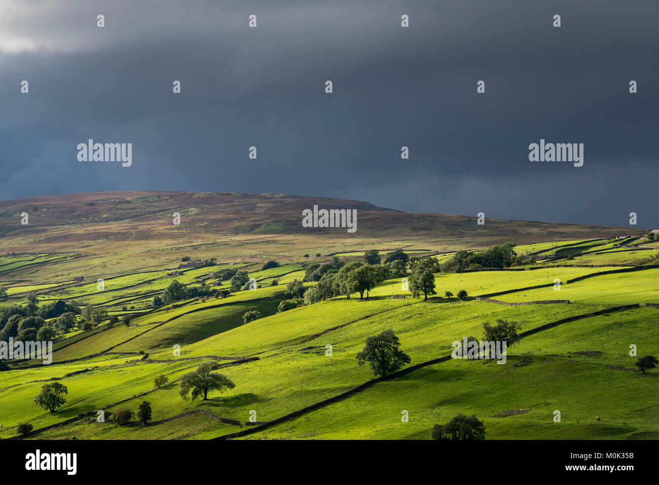 Sunlight on the hills of the Yorkshire Dales under a dark, stormy sky. Reeth, North Yorkshire, England. Stock Photo