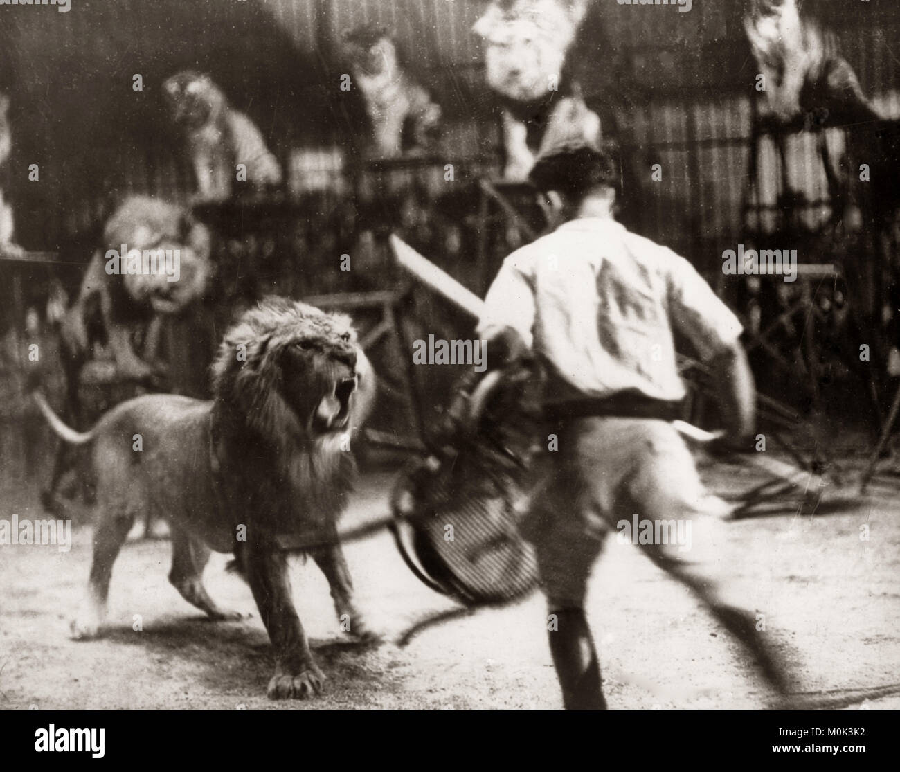 Lion Tamer Whip And Chair