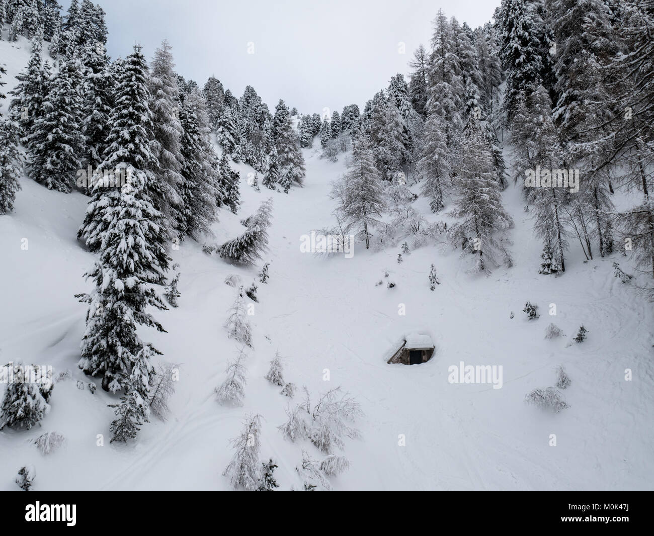 Skiing in Trentino, Pampeago Stock Photo