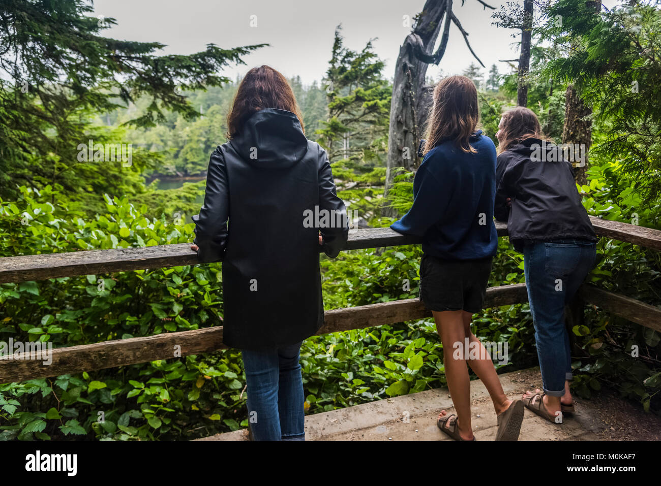 A mother and her two daughters stand on a viewing platform looking out to the lush rainforest; Ucluelet, British Columbia, Canada Stock Photo