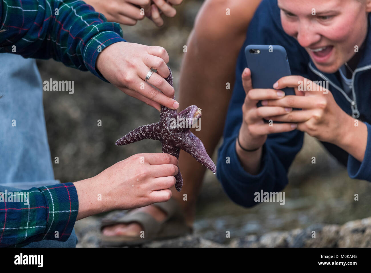 A family looks excitedly at a starfish while someone takes a picture of the underside; Tofino, British Columbia, Canada Stock Photo
