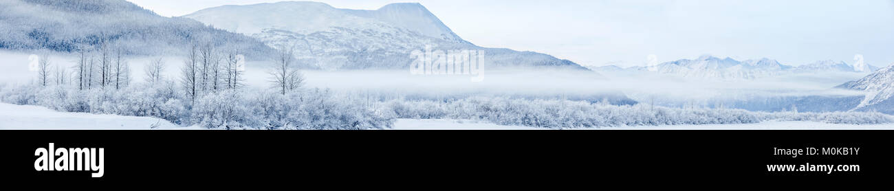 Hoar frost covers birch trees in a wintery landscape, evergreen trees growing on the Kenai Mountains in the background, Seward Highway, South-centr... Stock Photo