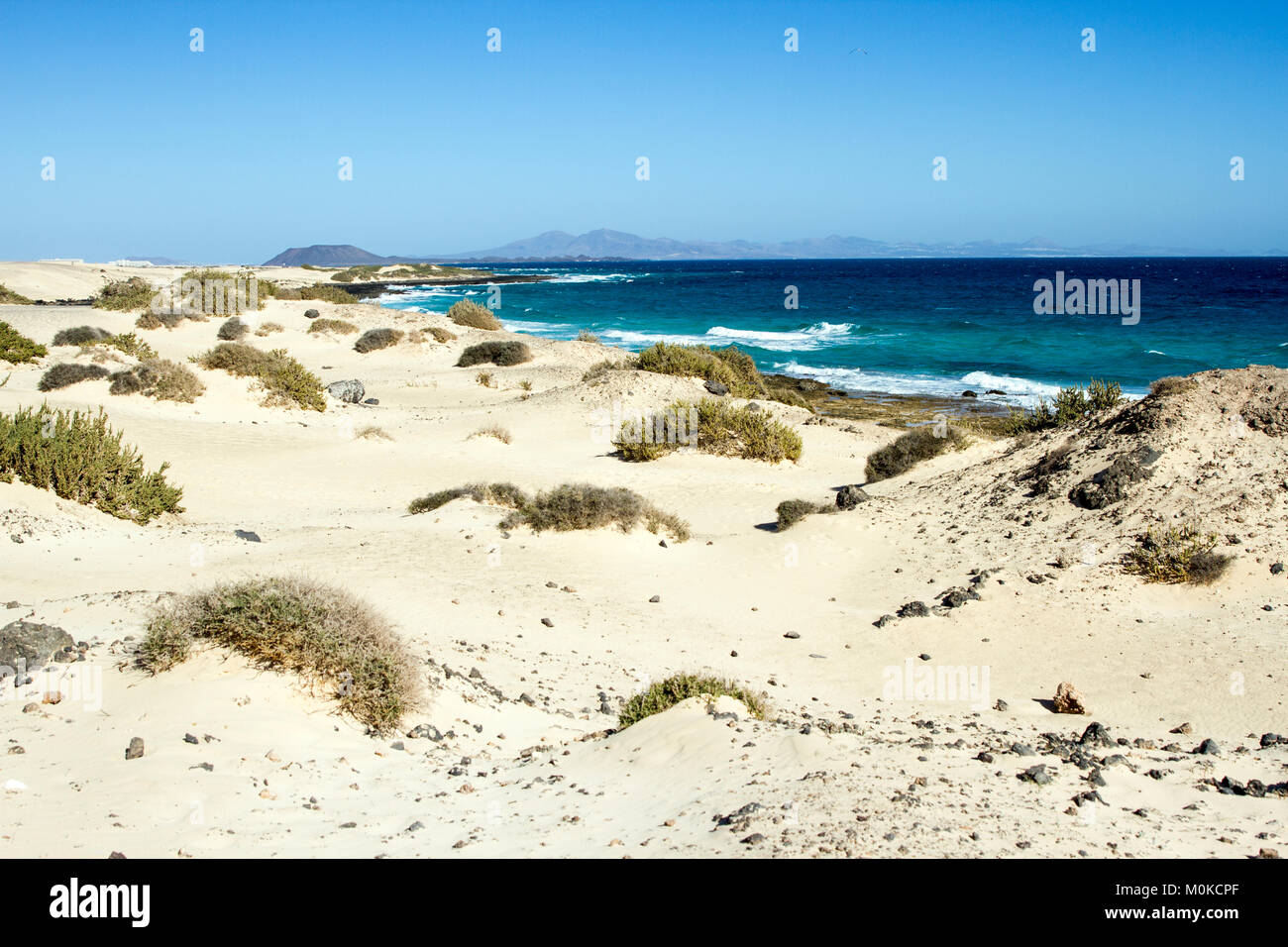 Beaches of Fuerteventura Stock Photo - Alamy