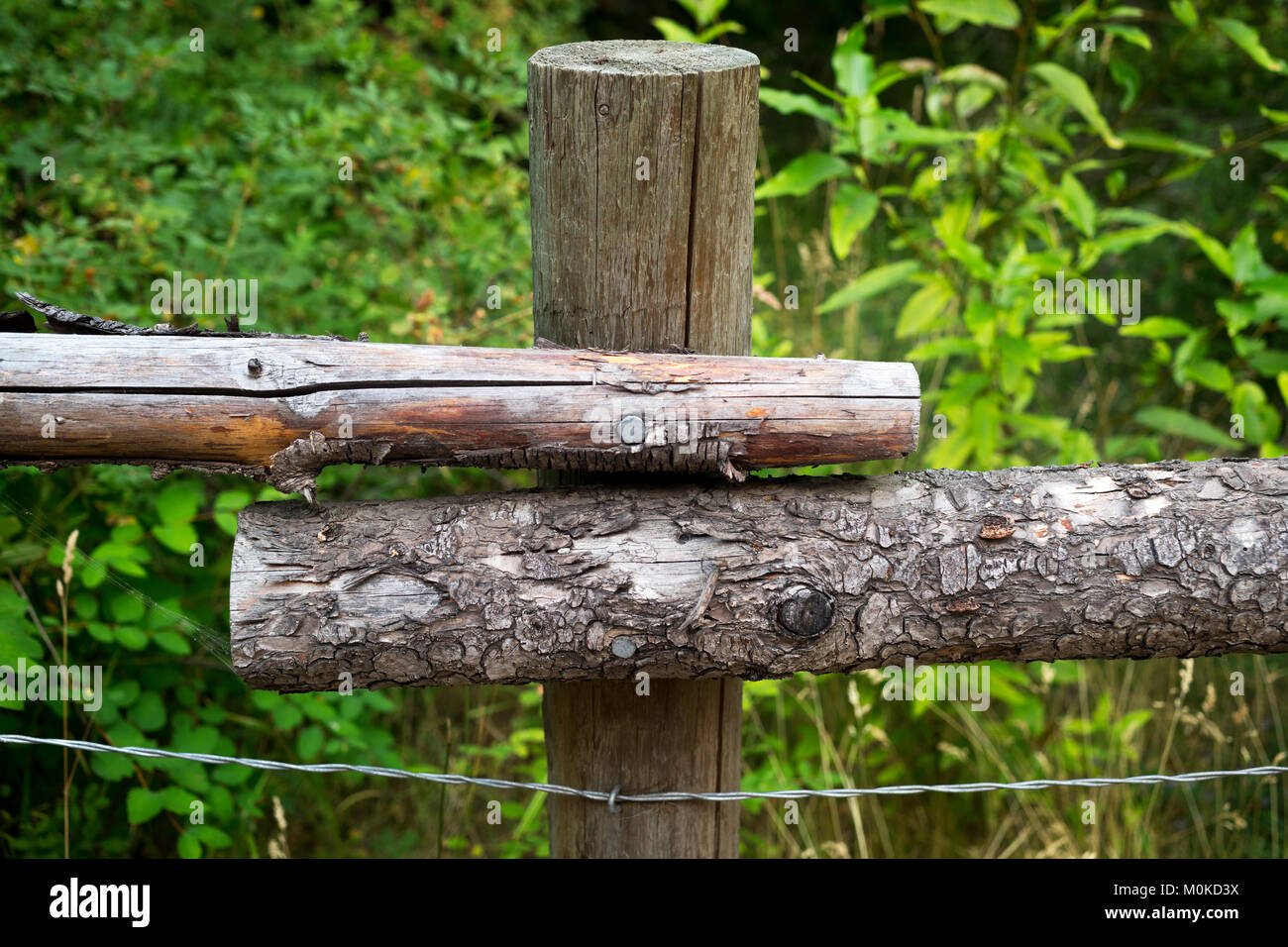 Wooden rails on a wood fence post and a wire running underneath; British Columbia, Canada Stock Photo
