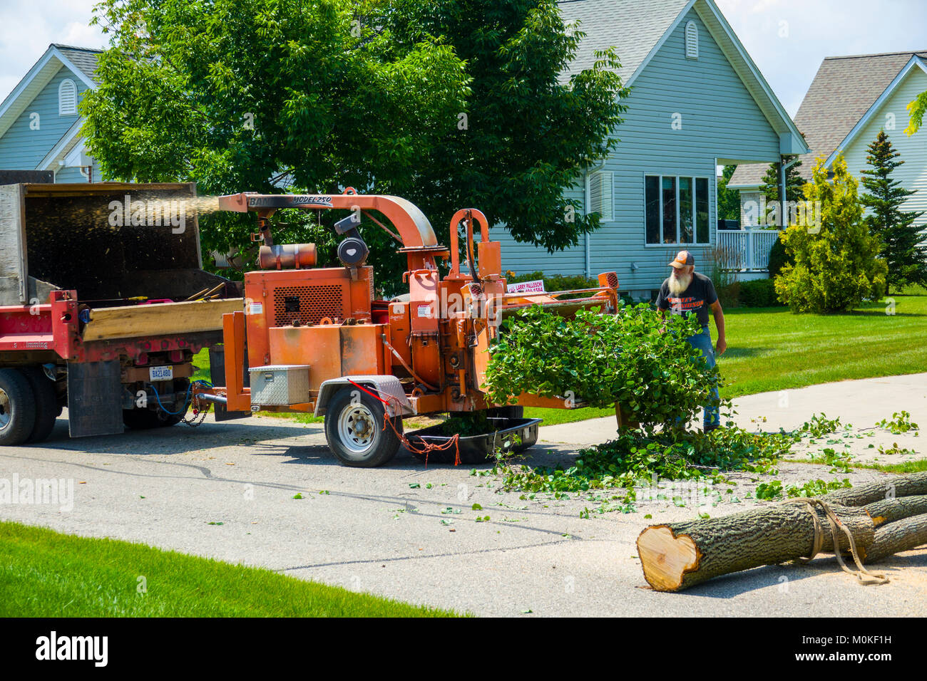 Landscaping by cutting down clearing and removing trees from a residential property Stock Photo