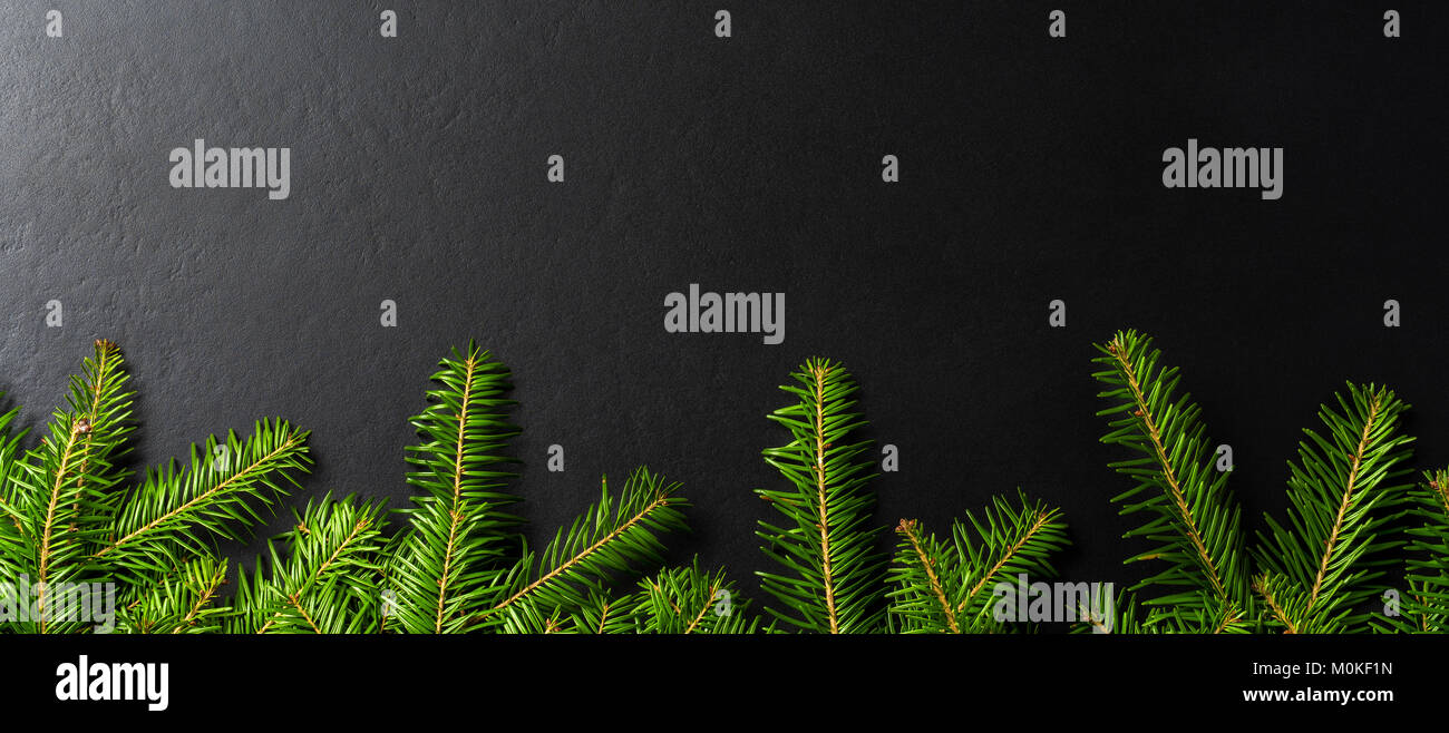 Christmas tree background Stock Photo