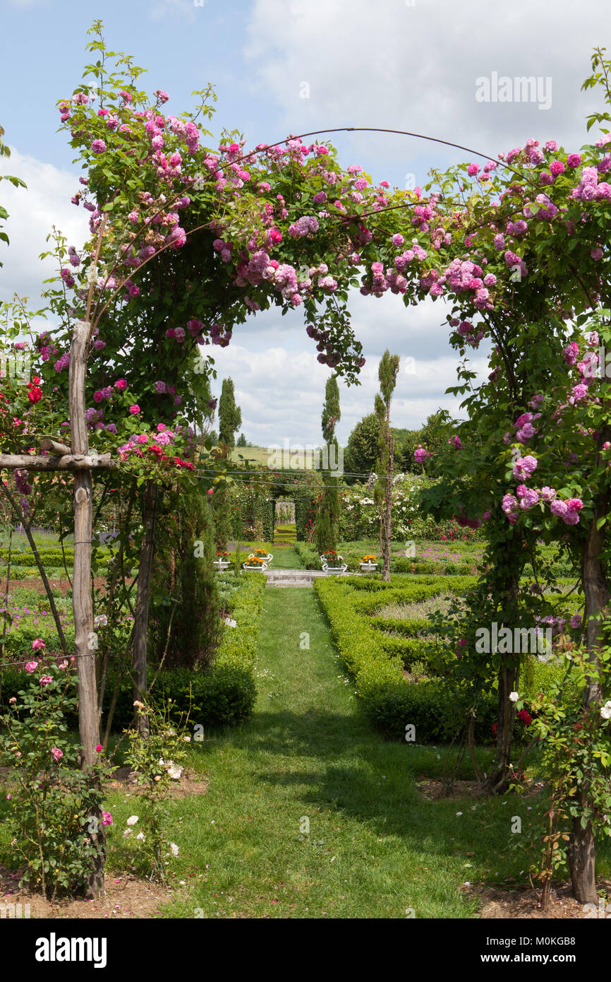 Rose Pergola In Garden High Resolution Stock Photography and Images Alamy