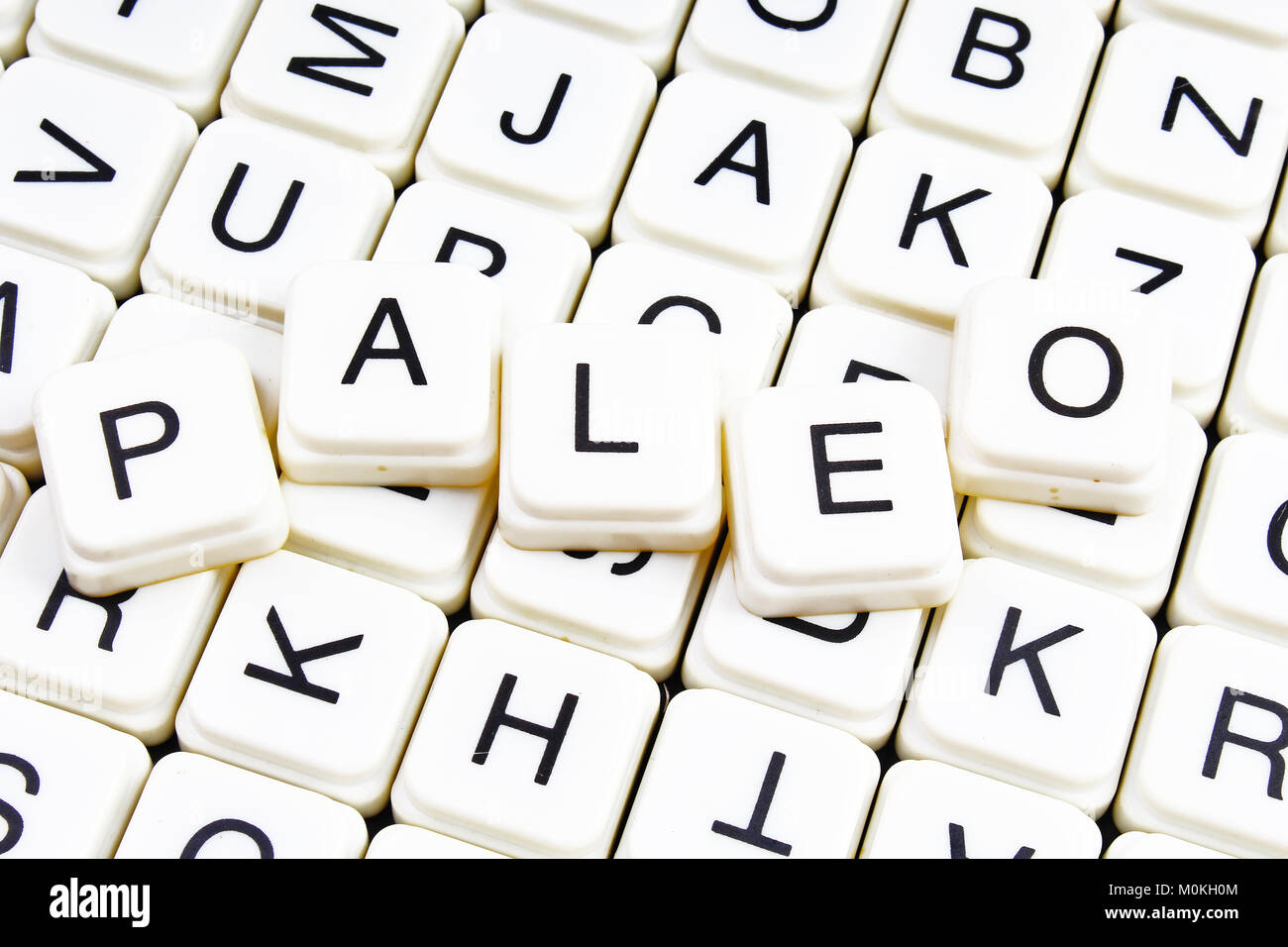 Paleo text word crossword title caption label cover background Paleo text word crossword title caption label cover background