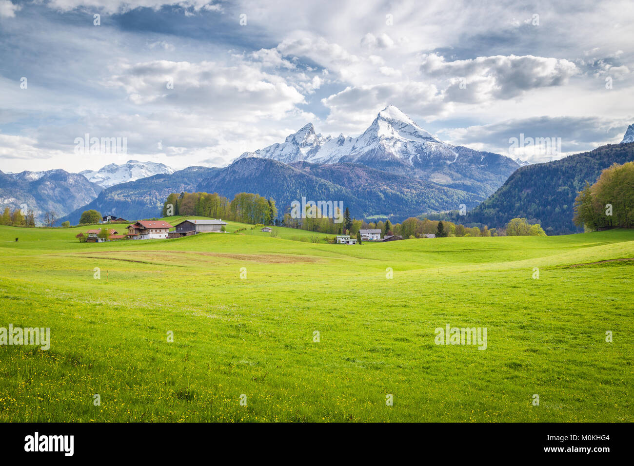 Idyllic mountain scenery in the Alps with blooming meadows in springtime Stock Photo