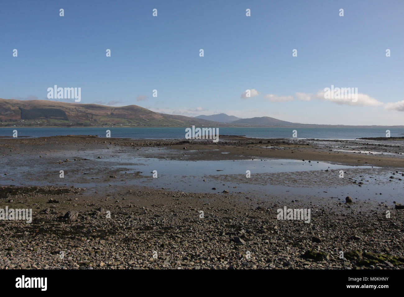 Low tide at Carlingford Lough, Carlingford, County Louth Ireland Stock Photo Alamy