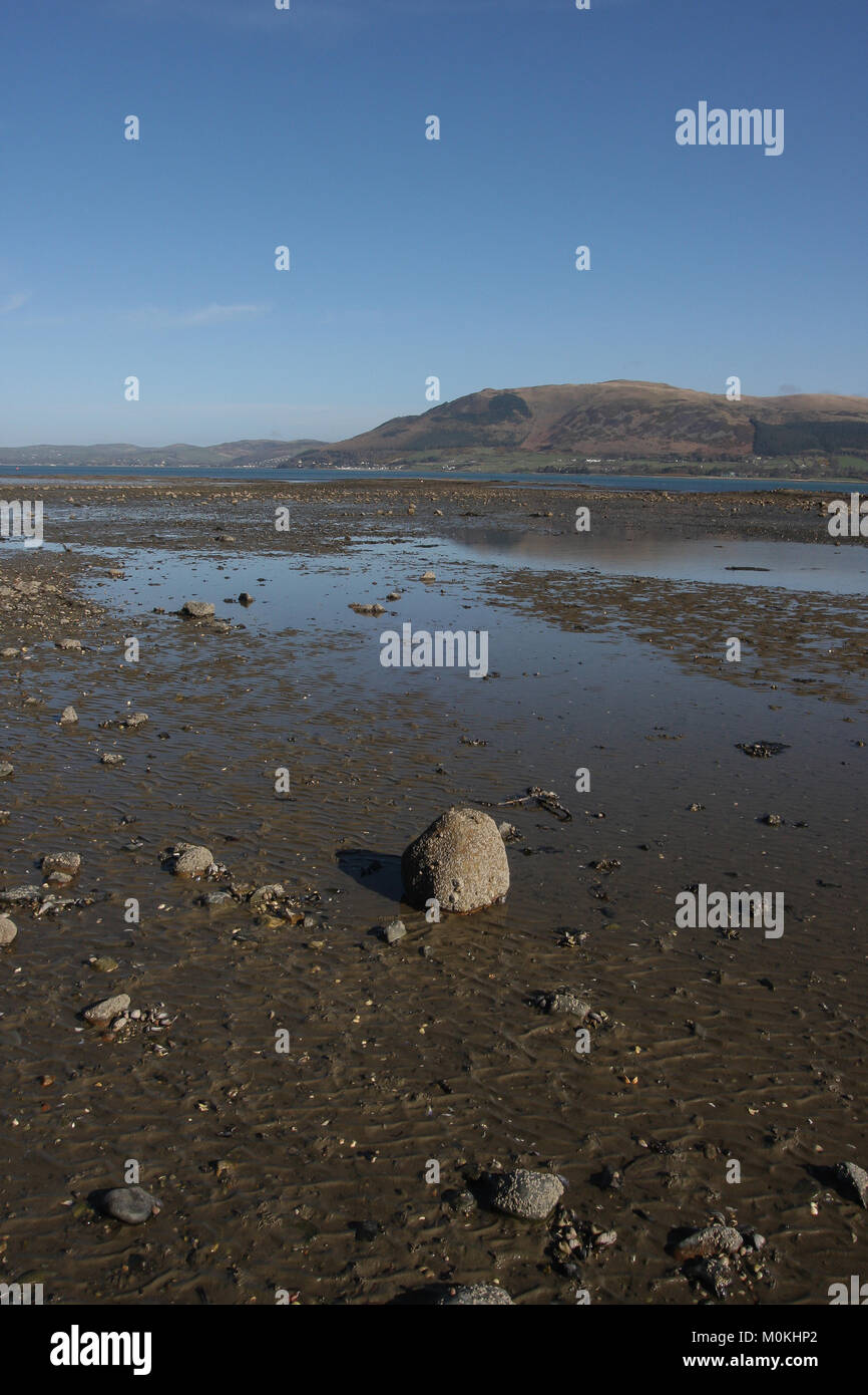 Low tide at Carlingford Lough, Carlingford, County Louth Ireland Stock Photo Alamy