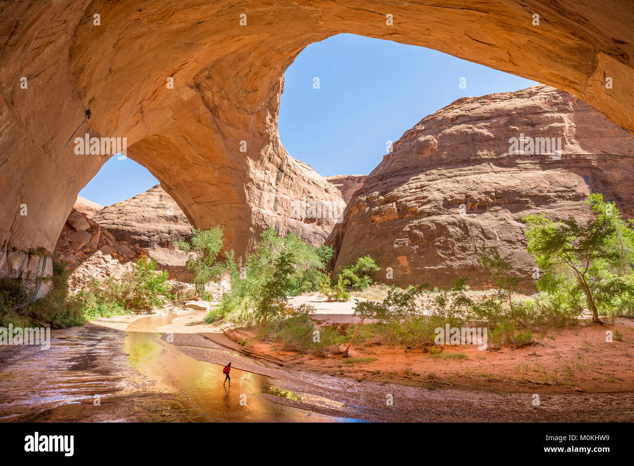 Hiker backpacking beneath stunning Jacob Hamblin Arch in Coyote Gulch on a sunny day in summer, Grand Staircase-Escalante National Monument, Utah, USA Stock Photo