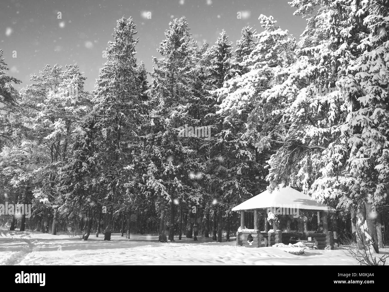 monochrome wooden gazebo in forest in winter sunny day Stock Photo - Alamy