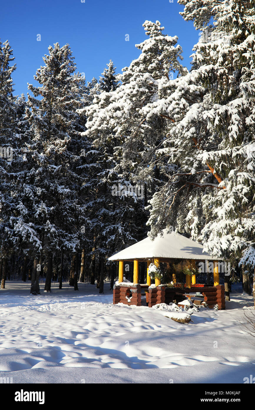 wooden gazebo in forest in winter sunny day Stock Photo - Alamy