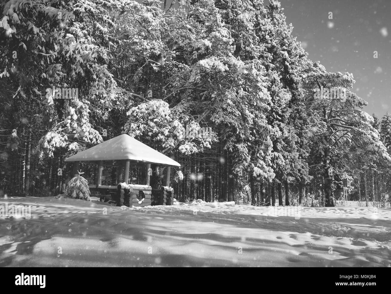 monochrome wooden gazebo in forest in winter sunny day Stock Photo - Alamy