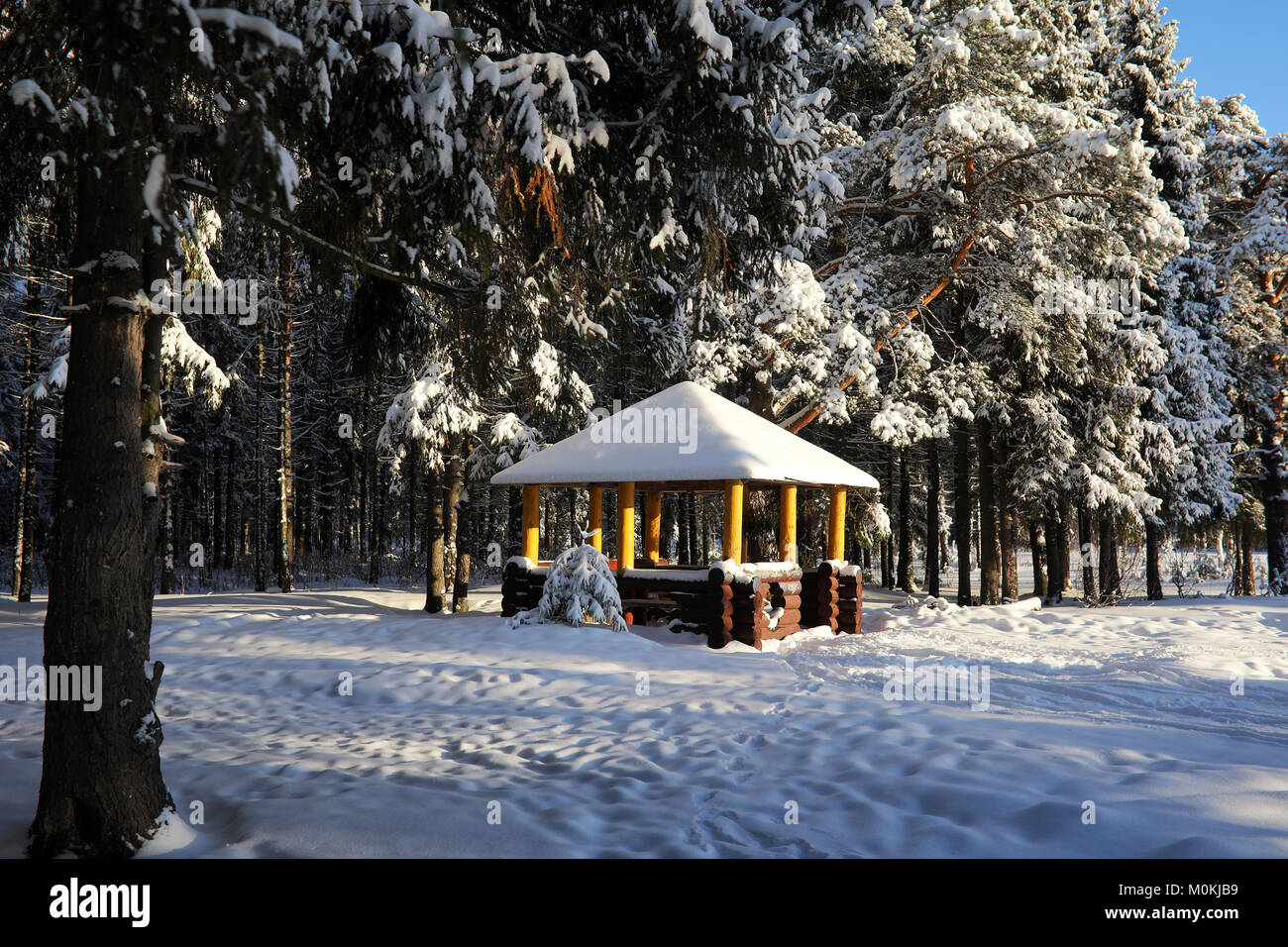 wooden gazebo in forest in winter sunny day Stock Photo - Alamy