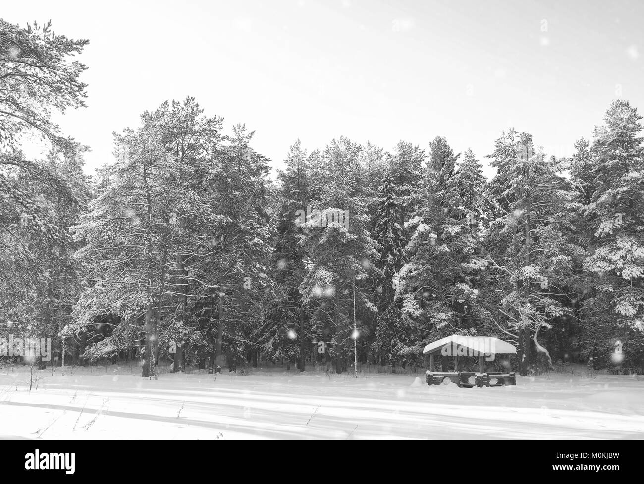 monochrome wooden gazebo in forest in winter sunny day Stock Photo - Alamy