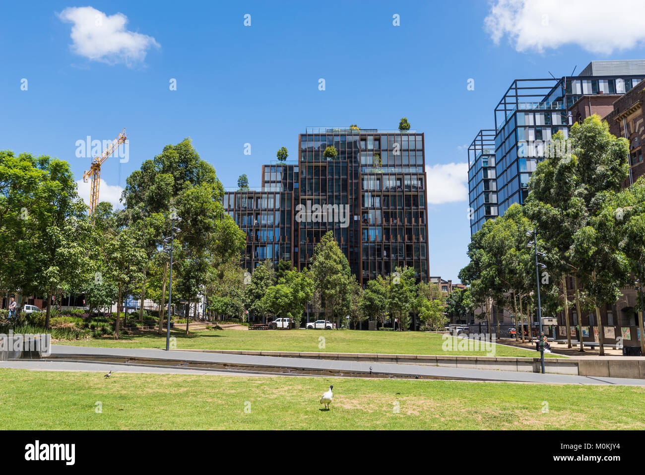 Central Park, Chippendale, Sydney, NSW, Australia Stock Photo