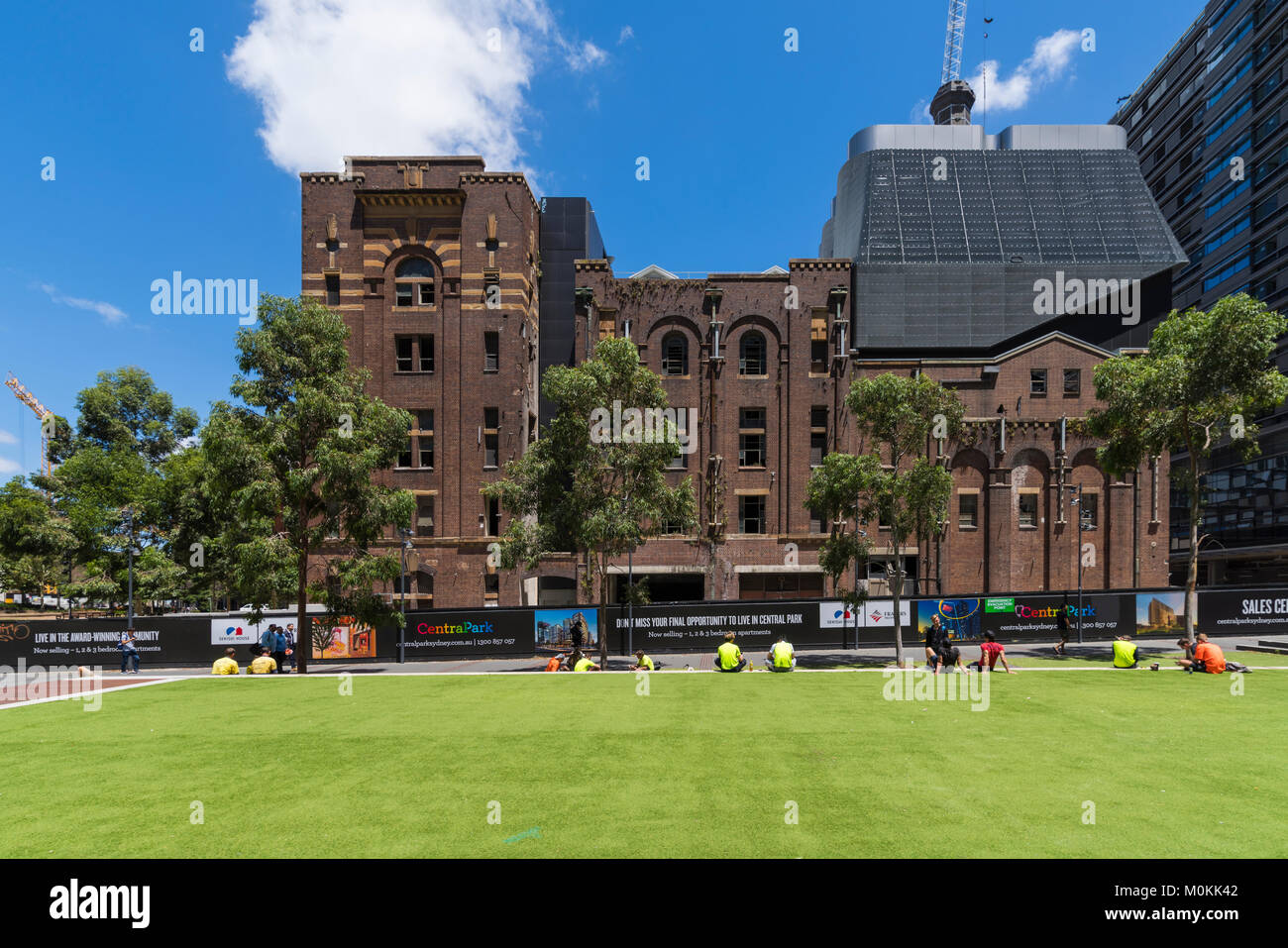 Central Park, Chippendale, Sydney, NSW, Australia Stock Photo