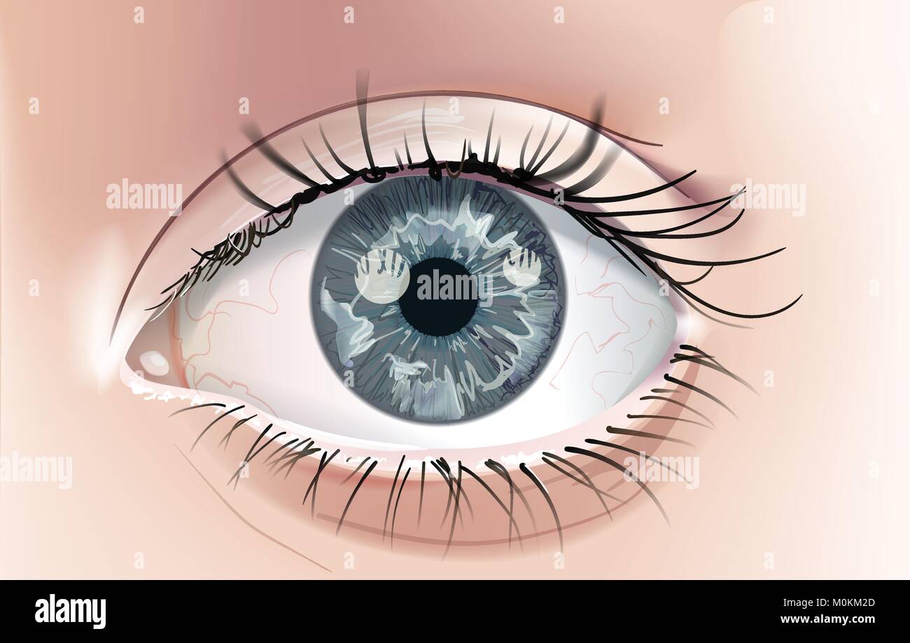 A realistic drawing of a human eye with a grey iris. Closeup. This is