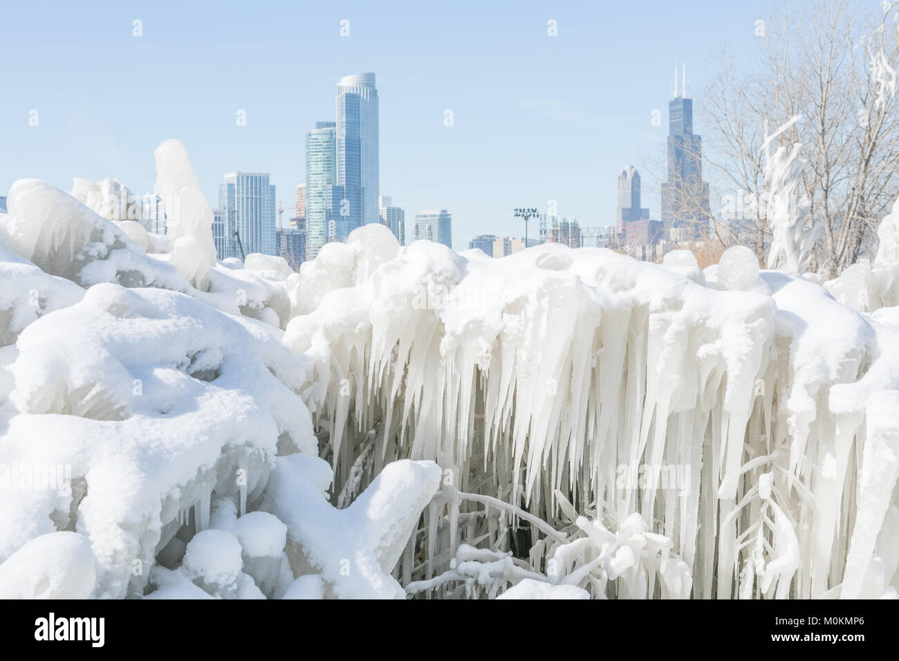 Frozen Trees Covered In Ice By The Lake Michigan In Chicago Downtown Stock Photo Alamy