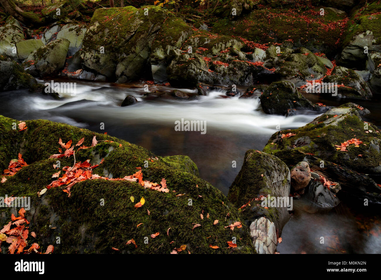 Stream flowing past rocks with moss and leaves in autumn colours Stock Photo
