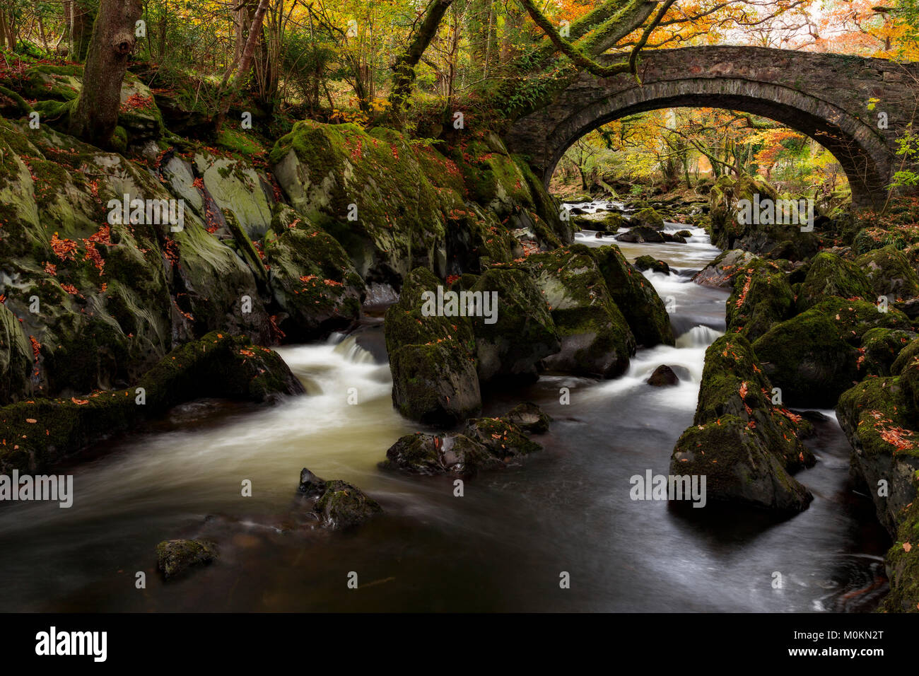 River flowing under old stone arch bridge past moss covered rocks with trees in autumn colours Stock Photo