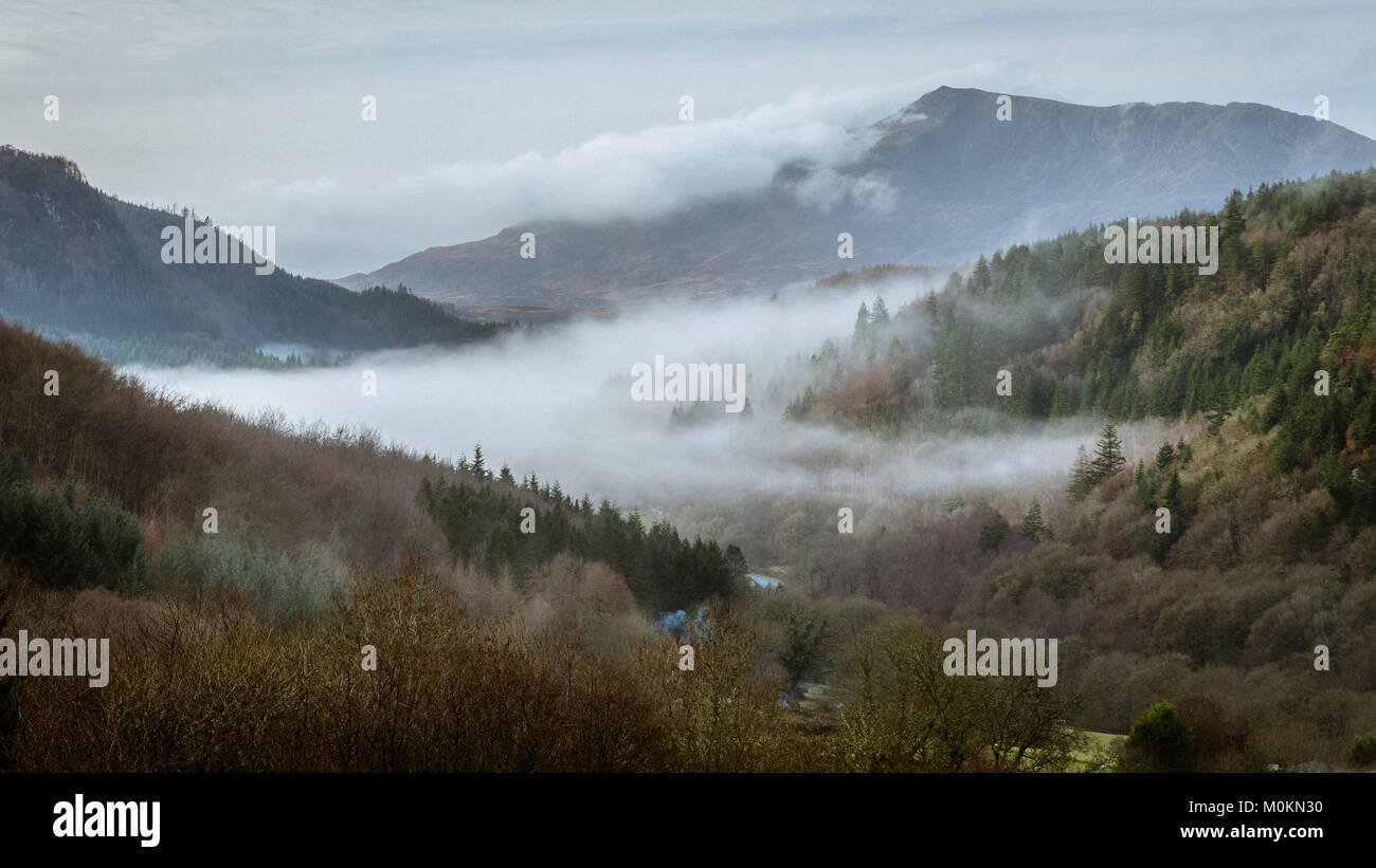 Fog shrouded valley with forest and mountain Stock Photo