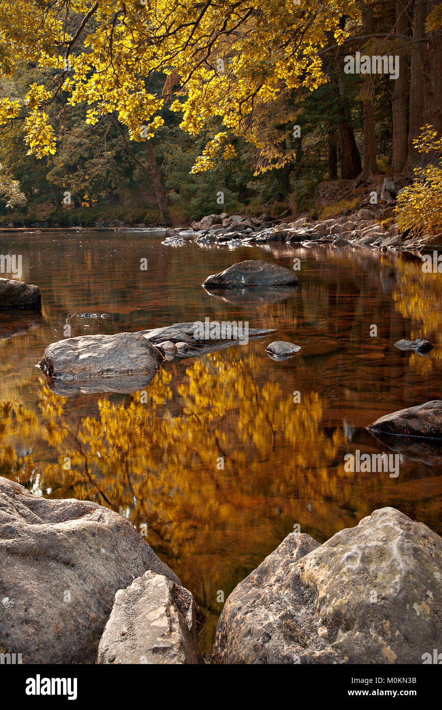 Trees in fall colors reflecting in tranquil river at Betws-y-Coed, North Wales Stock Photo
